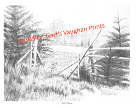 Garth Vaughan Prints - Image 13